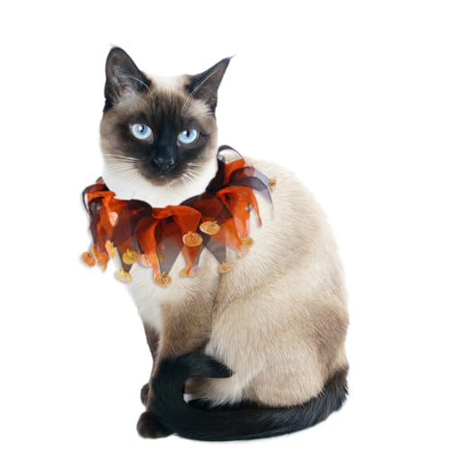 CJKDXDH Halsband mit Rüschen, für Hunde und Katzen, Halloween, Thanksgiving, Haustierzubehör, Urlaub, für Welpen, Kätzchen, Kaninchen CJKDXDH Halsband mit Rüschen, für Hunde und Katzen, Halloween, Thanksgiving, Haustierzubehör, Urlaub, für Welpen, Kätzchen, Kaninchen von CJKDXDH