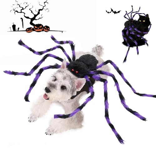 Halloween-Hundekostüme, Spinnenkostüme für Hund, Katze, Spinne, Dekoration, Halloween-Partyzubehör, Spinne, Cosplay-Kostüme mit verstellbarem Klettverschluss für Halloween, Haustierkostüm, Halloween-Hundekostüme, Spinnenkostüme für Hund, Katze, Spinne, Dekoration, Halloween-Partyzubehör, Spinne, Cosplay-Kostüme mit verstellbarem Klettverschluss für Halloween, Haustierkostüm, von CJKDXDH