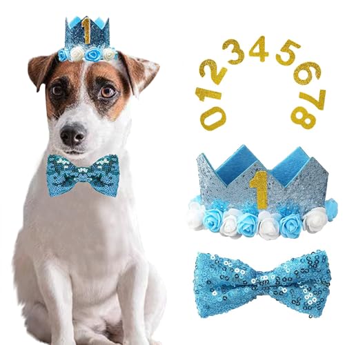 Hunde-Geburtstagsparty-Zubehör, Hundekrone, Geburtstagshut mit Zahlen-Fliege, Haustier-Geburtstagsdekoration für kleine, mittelgroße Hunde und Katzen, Blau Hunde-Geburtstagsparty-Zubehör, Hundekrone, Geburtstagshut mit Zahlen-Fliege, Haustier-Geburtstagsdekoration für kleine, mittelgroße Hunde und Katzen, Blau von CJKDXDH