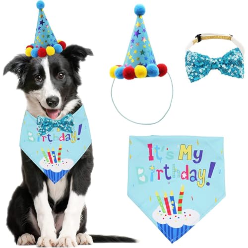 Hunde-Geburtstagsparty-Zubehör, niedlicher Hundehut, Schal, Fliege, Geburtstagstuch-Set für kleine, mittelgroße und große Hunde, Haustier-Geburtstagsdekoration (blau) von CJKDXDH