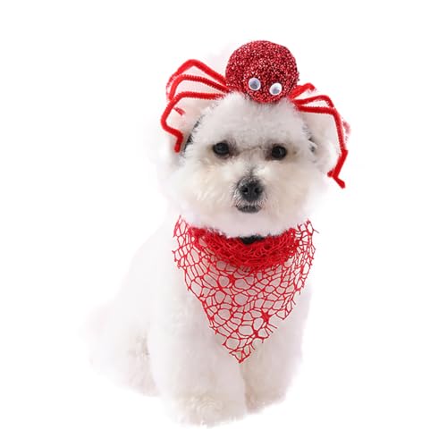 Spinnen-Haarband und Bandana für Hunde und Katzen, Haustier-Schal, Halstuch, Kopfbedeckung, Haarreif, Haustier-Kostüm, Zubehör für kleine und mittelgroße Hunde Spinnen-Haarband und Bandana für Hunde und Katzen, Haustier-Schal, Halstuch, Kopfbedeckung, Haarreif, Haustier-Kostüm, Zubehör für kleine und mittelgroße Hunde von CJKDXDH