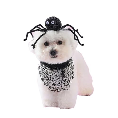 Spinnen-Haarband und Bandana für Hunde und Katzen, Haustier-Schal, Halstuch, Kopfbedeckung, Haarreif, Haustier-Kostüm, Zubehör für kleine und mittelgroße Hunde Spinnen-Haarband und Bandana für Hunde und Katzen, Haustier-Schal, Halstuch, Kopfbedeckung, Haarreif, Haustier-Kostüm, Zubehör für kleine und mittelgroße Hunde von CJKDXDH