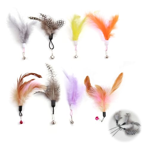 8 Stück Katze Federspielzeug mit Glocken, Katzen Federspielzeug, Feder Teaser Katze Spielzeug, Ersatzfeder Nachfüllpackungen mit Glocken, Exerciser Spielspielzeug für Kätzchen oder Katze, 6 Farben von CJMUQHEHH