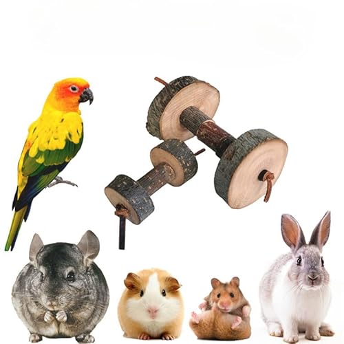 CKPLAS Kauspielzeug für Hamster und Kaninchen, aus Holz, aus Apfelholz, 2 Stück von CKPLAS