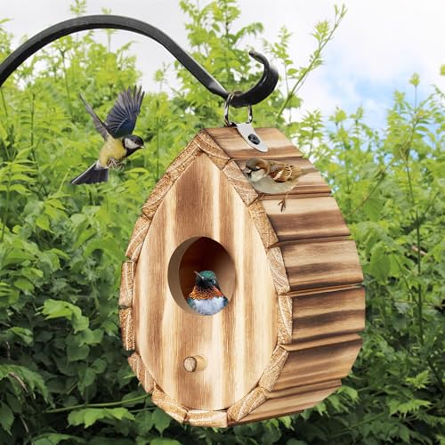CLACKIBUKVYZ Kolibri-Haus, Holz-Vogelhaus für draußen, hängende kleine Vogelhäuser, Wildvogel-Nistkasten, Outdoor-Vogelhaus für Bluebird, Fink, Kardinäle CLACKIBUKVYZ Kolibri-Haus, Holz-Vogelhaus für draußen, hängende kleine Vogelhäuser, Wildvogel-Nistkasten, Outdoor-Vogelhaus für Bluebird, Fink, Kardinäle von CLACKIBUKVYZ