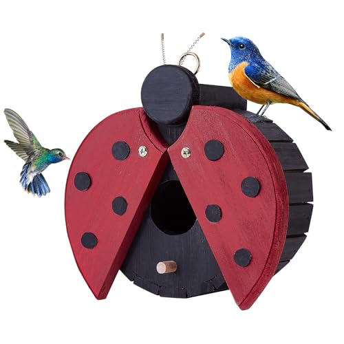 CLACKIBUKVYZ Vogelhaus Marienkäfer aus Holz für draußen - niedliches hängendes Vogelhaus für Finken, Schraubenschlüssel, Kardinäle, Bluebirds - witterungsbeständiger Wildvogel-Nistkasten - Gartendekor CLACKIBUKVYZ Vogelhaus Marienkäfer aus Holz für draußen - niedliches hängendes Vogelhaus für Finken, Schraubenschlüssel, Kardinäle, Bluebirds - witterungsbeständiger Wildvogel-Nistkasten - Gartendekor von CLACKIBUKVYZ