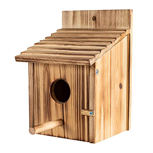 Vogelhäuser für draußen, Vogelhaus aus Holz mit offenem Haus-Design – perfekter Nistkasten für Bluebirds – Montage erforderlich – ideal für draußen – blaues Vogelhaus für den Außenbereich von CLACKIBUKVYZ
