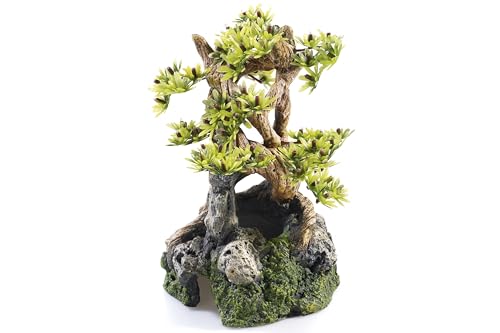 CLASSIC Caldex Limited Klassischer Bonsai auf Felsen, Polyresin, 19 cm von CLASSIC
