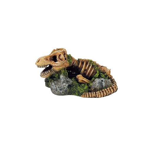 CLASSIC Dinosaurier-Skelett auf Felsen, prähistorisches Aquarium, Dekoration, 160 x 115 x 85 mm von CLASSIC