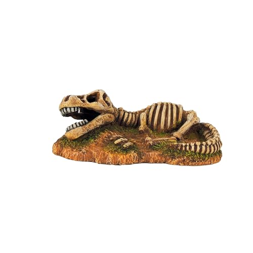CLASSIC Dinosaurier-Skelett für Aquarien, Dekoration für prähistorische Aquarien, 170 x 91 x 60 mm CLASSIC Dinosaurier-Skelett für Aquarien, Dekoration für prähistorische Aquarien, 170 x 91 x 60 mm von CLASSIC