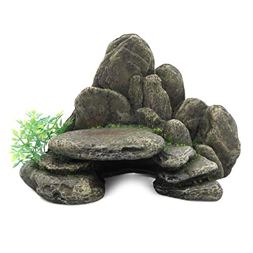 CLASSIC Petblis Rocky Ledge 22,9 cm, 100 g von CLASSIC