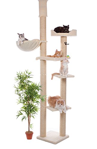 CLEVERCAT Deckenkratzbaum Livorno. Stufenlos verstellbar von 240-265 cm. In vielen Farben lieferbar. Hochstabil mit 5 Aussichtsmöglichkeiten für Ihren Stubentiger. Made in Germany von CLEVERCAT