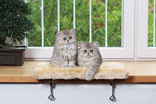 CLEVERCAT Fensterliege beige Made in Germany, gepolsterte Liegefläche, kinderleichte Montage CLEVERCAT Fensterliege beige Made in Germany, gepolsterte Liegefläche, kinderleichte Montage von CLEVERCAT