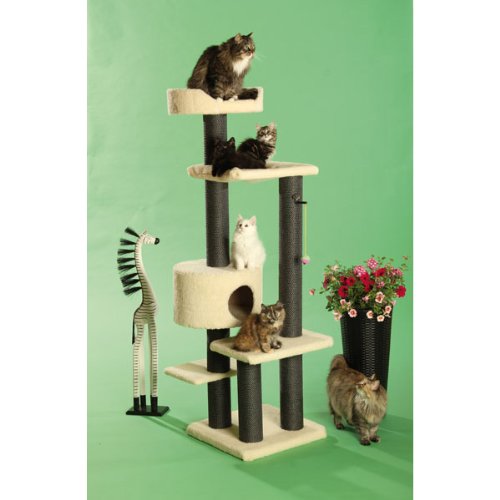 CLEVERCAT Kratzbaum Amelie mit stufenförmiger Aufstiegsmöglichkeit im modernen Look. Ideal für die Moderne Wohnung und den vielseitigen Stubentiger. 4316 (24) von CLEVERCAT