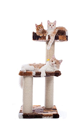 CLEVERCAT Kratzbaum Johanna, klein Aber fein. Passt in Jede Wohnung und bietet Ihrem Liebling eine Kratzmöglichkeit Made in Germany CLEVERCAT Kratzbaum Johanna, klein Aber fein. Passt in Jede Wohnung und bietet Ihrem Liebling eine Kratzmöglichkeit Made in Germany von CLEVERCAT