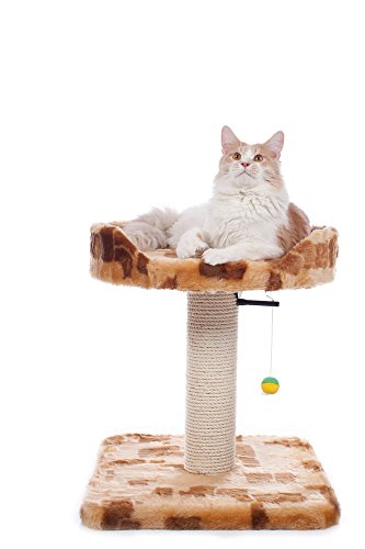CLEVERCAT Kratzbaum Modell Ben XL. Klein Aber OHO. Passt in jeden noch so kleinen Raum. Ihr Liebling Wird es Ihnen danken CLEVERCAT Kratzbaum Modell Ben XL. Klein Aber OHO. Passt in jeden noch so kleinen Raum. Ihr Liebling Wird es Ihnen danken von CLEVERCAT