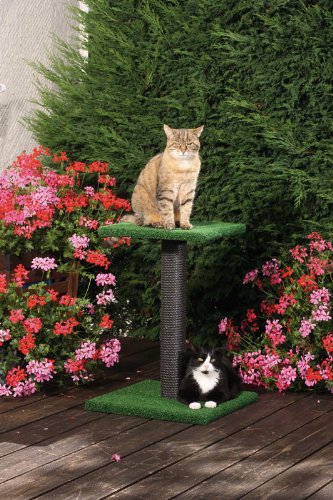 CLEVERCAT Outdoor Kratzbaum Liege-Boy Terrasso. Ideal für Terasse und Balkon. Frische Luft für Ihren Liebling 8400 von CLEVERCAT