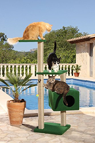 CLEVERCAT Outdoor Kratzbaum Summertime. Ideal für Terasse und Balkon. Spritzwassergeschützt. Vile Platz für Ihren Liebling 842 CLEVERCAT Outdoor Kratzbaum Summertime. Ideal für Terasse und Balkon. Spritzwassergeschützt. Vile Platz für Ihren Liebling 842 von CLEVERCAT