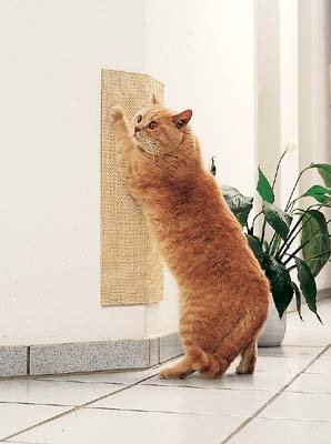 CLEVERCAT Sisal Eckschoner, einfach, praktisch, gut CLEVERCAT Sisal Eckschoner, einfach, praktisch, gut von CLEVERCAT