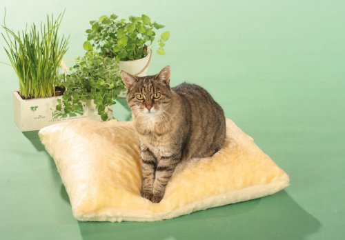 CLEVERCAT Thermokissen beige, das Pflegeleichte rundum Wohlfühlkissen Made in Germany von CLEVERCAT