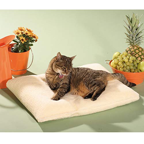 CLEVERCAT Thermokissen schurwolloptik, das Pflegeleichte rundum Wohlfühlkissen Made in Germany CLEVERCAT Thermokissen schurwolloptik, das Pflegeleichte rundum Wohlfühlkissen Made in Germany von CLEVERCAT