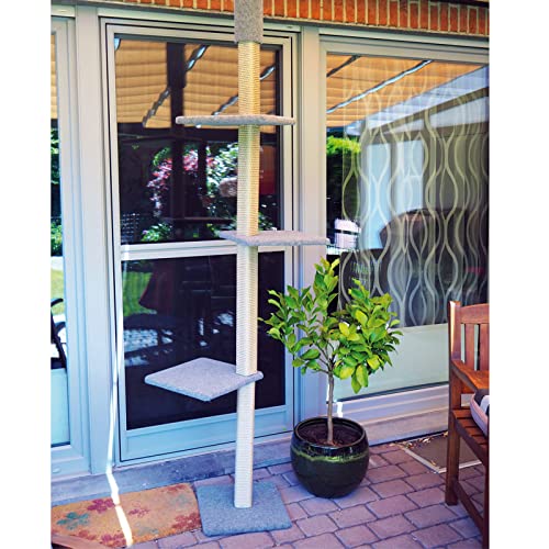 Clevercat Outdoormodell Terrasso Sun, Ideal für die überdachte Terrasse oder den Balkon. Outdoorkratzen für Ihren Stubentiger. Made in Germany Clevercat Outdoormodell Terrasso Sun, Ideal für die überdachte Terrasse oder den Balkon. Outdoorkratzen für Ihren Stubentiger. Made in Germany von CLEVERCAT