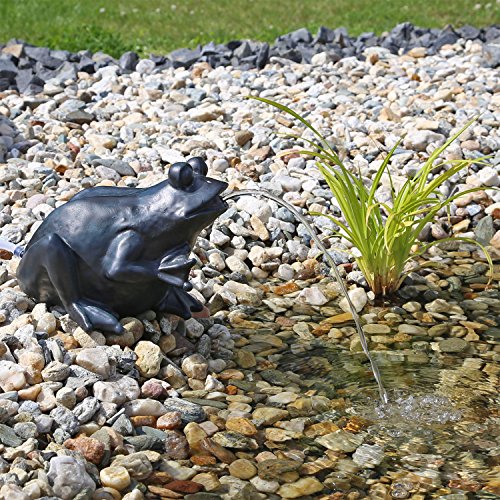 CLGarden Frosch Wasserspeier Set NSP9E mit strombetriebener Pumpe Springbrunnen für Gartenteich Wasserspiel Froschbrunnen von CLGarden