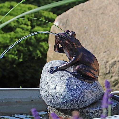 CLGarden Wasserspeier Komplettset Frosch auf einem Stein NSP10E mit strombetriebener 12V Pumpe Springbrunnen Wasserspiel für den Gartenteich Zinkwanne von CLGarden