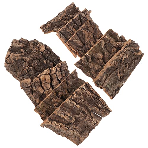 CLISPEED 10 Stück Dekoration Aus Champagnerrinde Terrariendekor Reptil Rampe Zum Sonnenbaden Für Schildkröten Korkrinde Von Reptilien Bellt Gecko Natürliche Korkrinde Texturiert Holz Coffee von CLISPEED