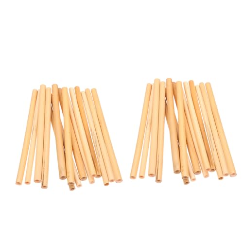 CLISPEED 100stücke Bienenröhren Aus Schilf Für Außenbereich Bienenhausröhren Nachfüllröhren Für Schilfbienen Schilfröhren Zur Bienenbestäubung Leere Bienenröhren Zum Nachfüllen von CLISPEED