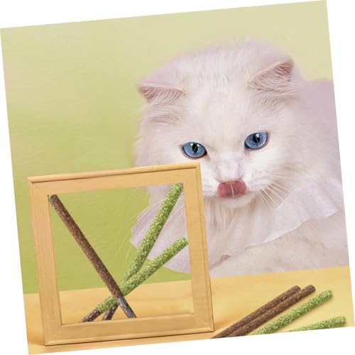 CLISPEED 12 Stück Teiliges Katzenspielzeug mit Natürlichen Gallfrucht und Kau Sticks zur Beschäftigung und Zahnpflege Fördert Haarballen und Belebt Katzen Spielerisch CLISPEED 12 Stück Teiliges Katzenspielzeug mit Natürlichen Gallfrucht und Kau Sticks zur Beschäftigung und Zahnpflege Fördert Haarballen und Belebt Katzen Spielerisch von CLISPEED