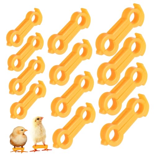 CLISPEED 12 Stück Vogelkorrektor Humpeln Beine Hühnerspreiz Bein Humpel Kükenbeinkorrektor Chick-spreizbeinstütze Band Schild Spreizen Babyküken Hühnerbeinbänder Nummeriert PVC Gelb CLISPEED 12 Stück Vogelkorrektor Humpeln Beine Hühnerspreiz Bein Humpel Kükenbeinkorrektor Chick-spreizbeinstütze Band Schild Spreizen Babyküken Hühnerbeinbänder Nummeriert PVC Gelb von CLISPEED