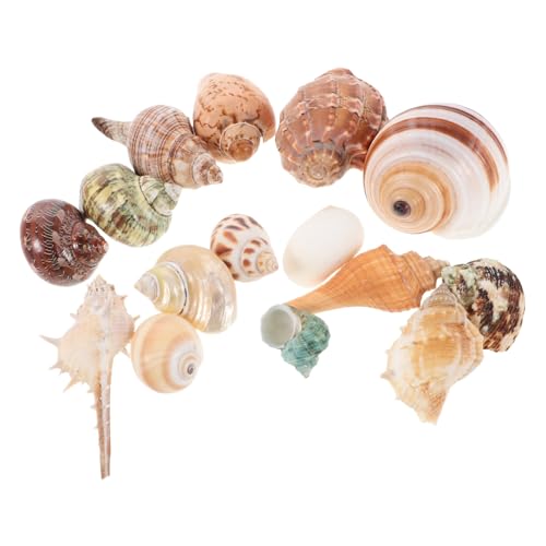 CLISPEED 15 Stück Teiliges Bunter Muscheln Dekorative Aquariumlandschaft mit Conch und Krabbenhäuschen Strandstil Fischtank Zubehör für Natürliche CLISPEED 15 Stück Teiliges Bunter Muscheln Dekorative Aquariumlandschaft mit Conch und Krabbenhäuschen Strandstil Fischtank Zubehör für Natürliche von CLISPEED