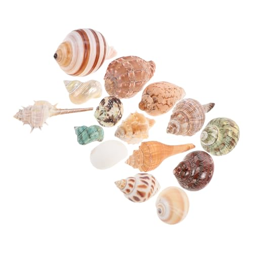 CLISPEED 15 Stück Teiliges Bunter Muscheln für Aquarien Heimdekoration Natürliche Strandmuscheln für DIY Projekte Vasenfüller Fischbehälter Dekorationen CLISPEED 15 Stück Teiliges Bunter Muscheln für Aquarien Heimdekoration Natürliche Strandmuscheln für DIY Projekte Vasenfüller Fischbehälter Dekorationen von CLISPEED
