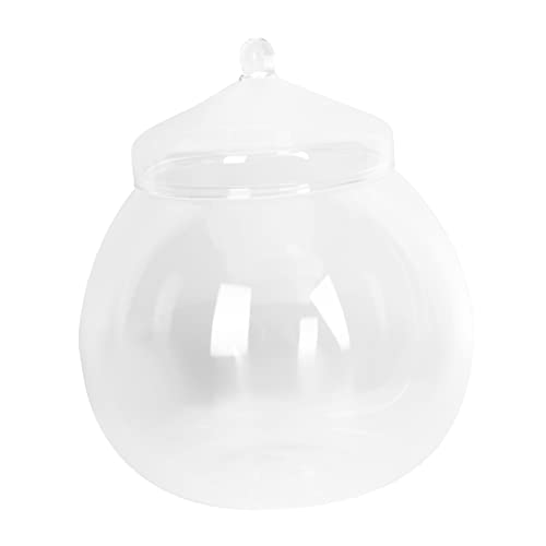 CLISPEED 1Satz Mikrolandschafts Glasflasche für DIY Dekoration Transparente Ökologische Flasche zur Erstellung von Moos Terrarien für Wohnraumgestaltung Zufallsstil CLISPEED 1Satz Mikrolandschafts Glasflasche für DIY Dekoration Transparente Ökologische Flasche zur Erstellung von Moos Terrarien für Wohnraumgestaltung Zufallsstil von CLISPEED