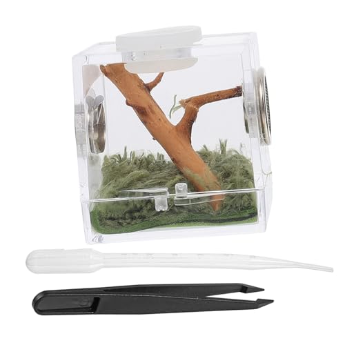 CLISPEED 1Satz Spinnen Habitat Box Terrarium für Springspinnen und Kleine Haustiere mit Belüftungsloch für Optimale Luftzirkulation Transparent für Sicht und Einfache CLISPEED 1Satz Spinnen Habitat Box Terrarium für Springspinnen und Kleine Haustiere mit Belüftungsloch für Optimale Luftzirkulation Transparent für Sicht und Einfache von CLISPEED