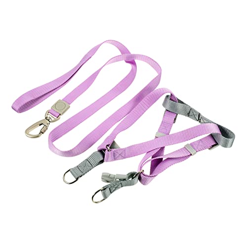 CLISPEED 1Satz Verstellbares Hundegeschirr Und Set Für Kleine Leichte Mehrfarbige Welpenleine Und Gurt Mit Ring Für Training von CLISPEED