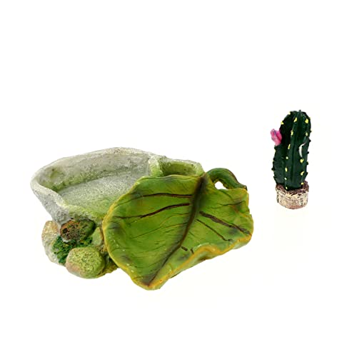 CLISPEED 1Stück Reptilien Futternapf Und Wasserschale Für Schildkröten Cactus Design Pet Basin Für Bartagamen Geckos Und Andere Reptilien Aquarium Zubehör von CLISPEED