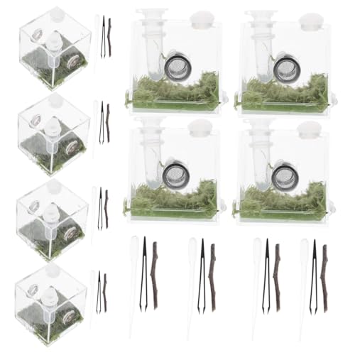 CLISPEED 2 Sätze Sprungspinnen Terrarium aus Klarem Kleines Reptilien Zuchtgehäuse mit Guter Feuchtigkeitsresistenz Transparenter Insekten und Spinnenlebensraum zur Einfachen Beobachtung CLISPEED 2 Sätze Sprungspinnen Terrarium aus Klarem Kleines Reptilien Zuchtgehäuse mit Guter Feuchtigkeitsresistenz Transparenter Insekten und Spinnenlebensraum zur Einfachen Beobachtung von CLISPEED