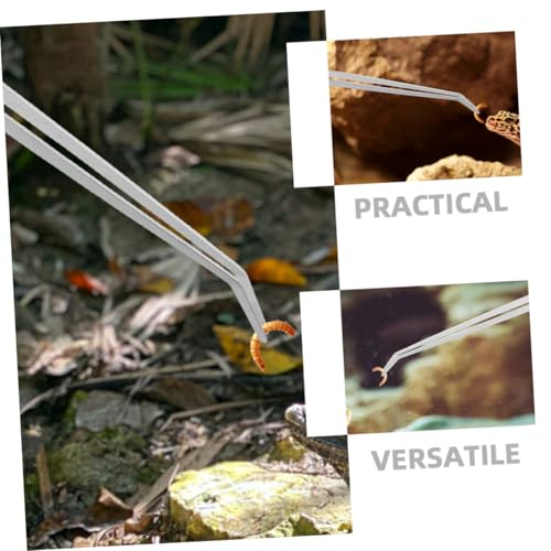 CLISPEED 2 Stück Extra Lange Futterpinzette Edelstahl Fütterungszange für Reptilien und Aquarien mit Geradem und Gebogenem Kopf Schweres Design Langlebige Metall futterzange für Terrarien CLISPEED 2 Stück Extra Lange Futterpinzette Edelstahl Fütterungszange für Reptilien und Aquarien mit Geradem und Gebogenem Kopf Schweres Design Langlebige Metall futterzange für Terrarien von CLISPEED