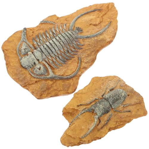 CLISPEED 2 Stück Kreative Reptilien Box Deko Simulation Fossil Terrarium Dekoration für Kleine Haustiere Resininfrastruktur für Eidechsen Schildkröten Spinnen von CLISPEED