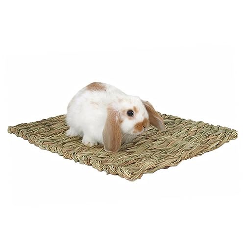 CLISPEED 2 Stück Natürliche Essbare Seagrass Matte Geflochtene Kauspielmatte für Hamster Meerschweinchen Kaninchen Nagetiere und Kleintiere Umweltfreundliches Haustierzubehör von CLISPEED