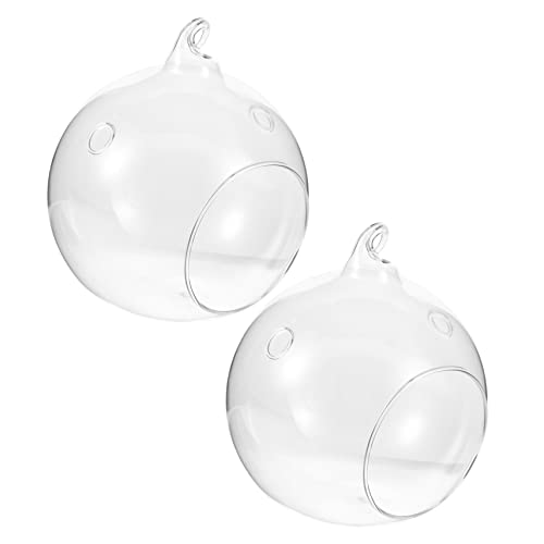 CLISPEED 2 Stück Öko Flasche Air Große Wand Aquarium Topflappen Aufhänger Wasserkorb Gefäß Anzucht Künstliche Hänge Drainage Pflanzgefäß Terrarium Zimmerpflanzen Set Klare Röhren von CLISPEED