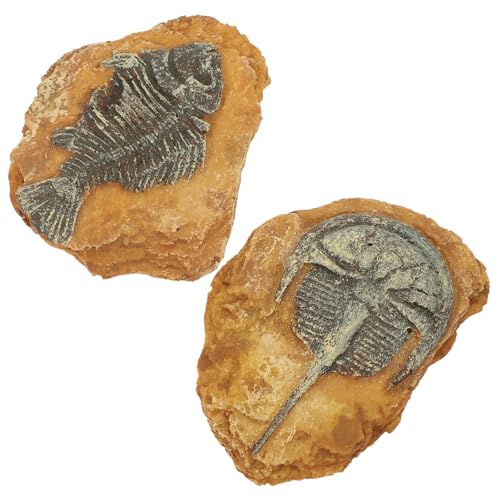 CLISPEED 2 Stück Realistische Reptilien deko Resin fossilien Terrarium Ornament für Schlangen Höhle und Kriechlandschaft Langlebig und Sicher für Echsen Spinnen Hamster Dekorative CLISPEED 2 Stück Realistische Reptilien deko Resin fossilien Terrarium Ornament für Schlangen Höhle und Kriechlandschaft Langlebig und Sicher für Echsen Spinnen Hamster Dekorative von CLISPEED