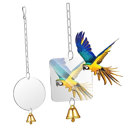 CLISPEED 2 Stück Vogelspielzeug mit Spiegel und Glocke für Käfige Hängende Schaukel für Sittiche und Andere Vögel Installieren Robust und Fördert Gleichgewicht und Zufällige Farbe von CLISPEED