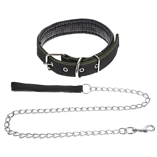 CLISPEED 2-teiliges Set Hundehalsband Einstellen Haustier von CLISPEED