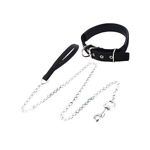 CLISPEED 2-Teiliges Set Welpenhalsband für Welpen Halsband für Hunde spazieren gehen für Hunde Hundegeschirr Leine Kettenhalsband Haustierhalsband Haustierzubehör Hundeleine Gurt von CLISPEED