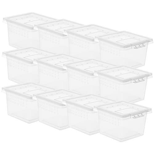 CLISPEED 20Er-Box Futterbox für Haustiere Reptil Schildkröte Fütterung Zucht klein Critter Box Insekten Box Terrarienzubehör Spider Box Futterbehälter Schlangenkäfig füttern pp Transparent von CLISPEED