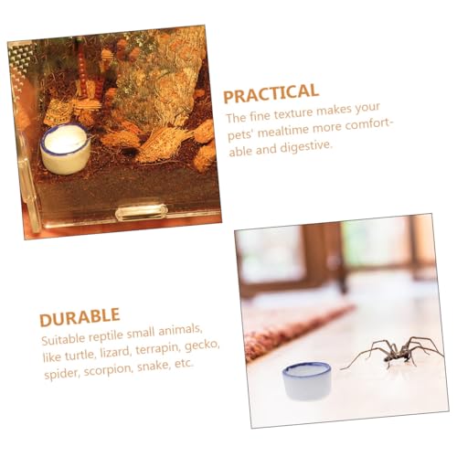CLISPEED 24 Stück Teiliges Mini wasserschalen Reptilien und Skorpione Kleine Terrarien schüsseln aus Sicherem Material Glatte Oberfläche Leicht zu Reinigen für Futter und Wasser Weiß CLISPEED 24 Stück Teiliges Mini wasserschalen Reptilien und Skorpione Kleine Terrarien schüsseln aus Sicherem Material Glatte Oberfläche Leicht zu Reinigen für Futter und Wasser Weiß von CLISPEED