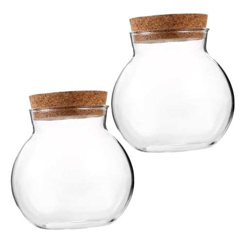 CLISPEED 2Stücke Dekorative Landschaftsflasche Ökologische Flasche Mit Korkverschluss Für Moospflanzen Ohne Beleuchtung CLISPEED 2Stücke Dekorative Landschaftsflasche Ökologische Flasche Mit Korkverschluss Für Moospflanzen Ohne Beleuchtung von CLISPEED